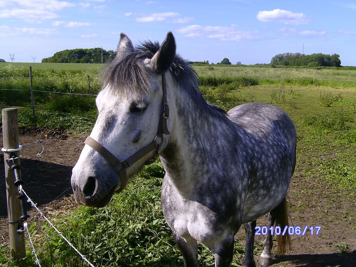 Anden særlig race Collexion - Min Baby<3 billede 7