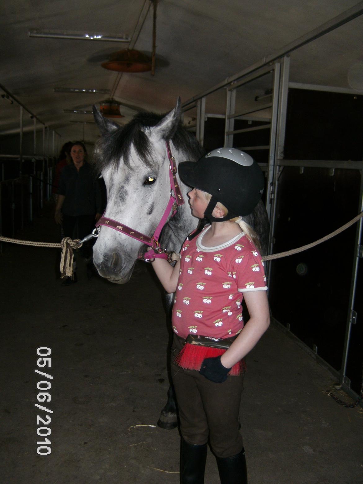 Anden særlig race Collexion - Min søde Pony<3 billede 2