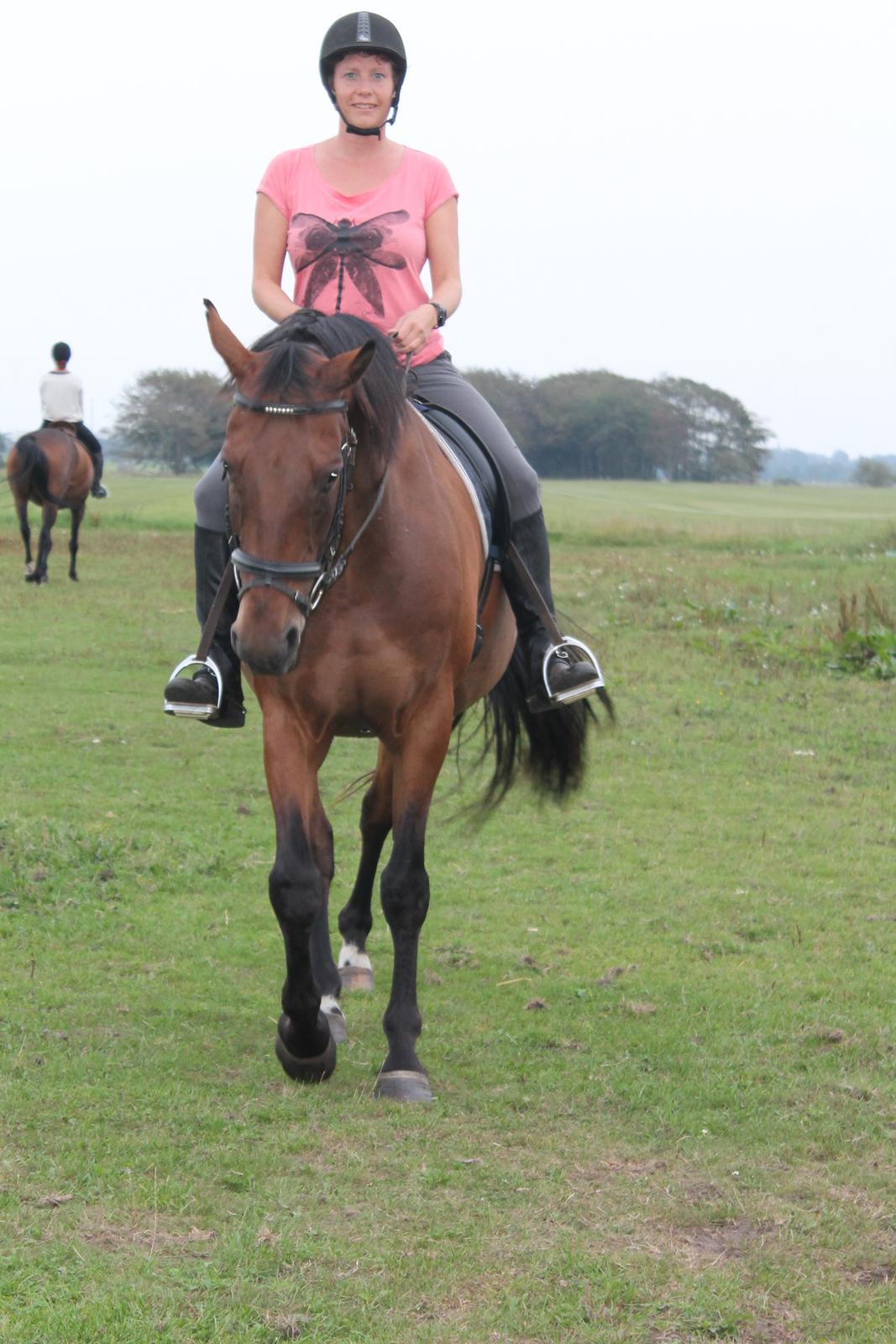 Dansk Varmblod Domingo F - Mor der rider ham hjemme billede 5
