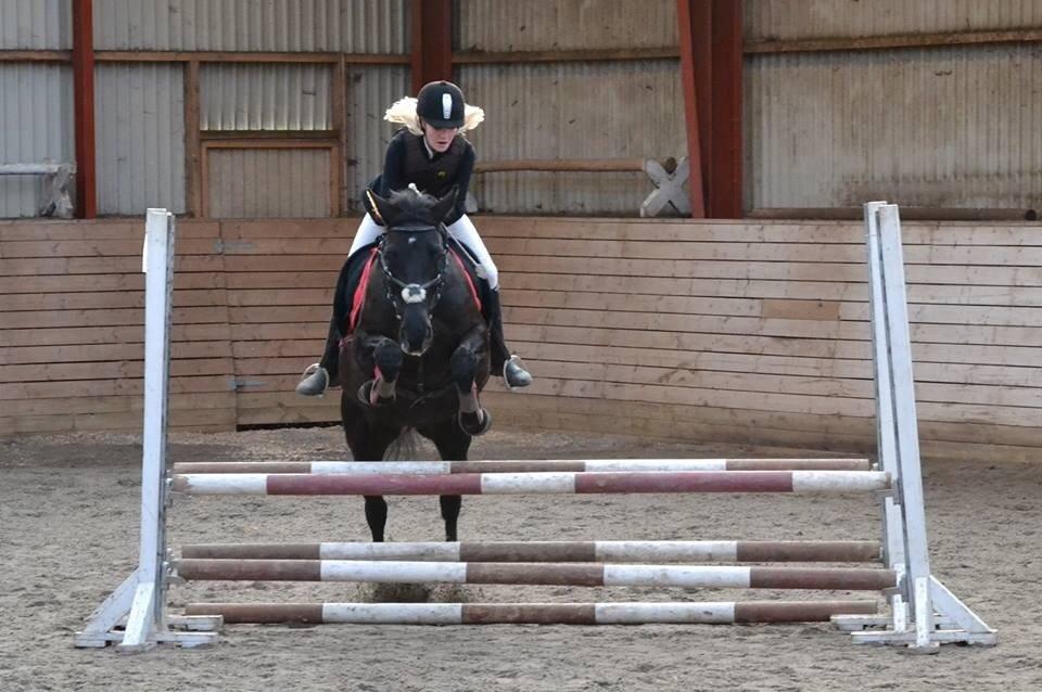 Anden særlig race Kronborgs Flicka billede 16