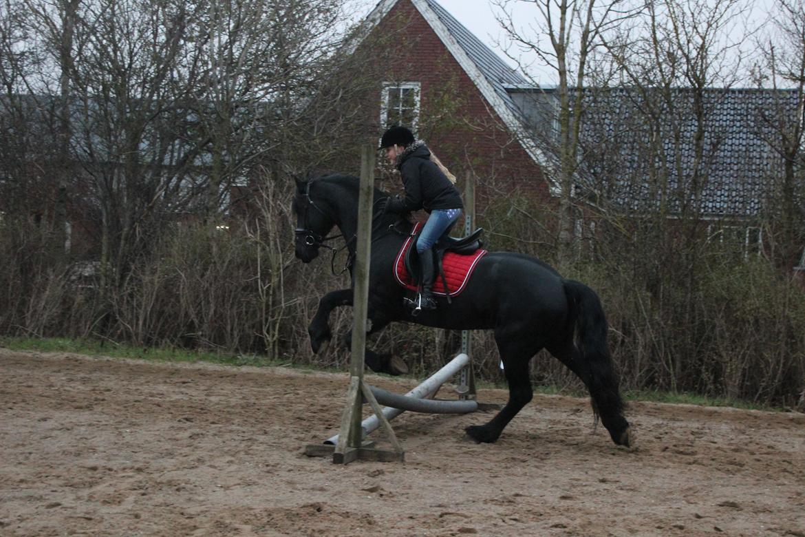 Frieser Zorro - Første gang vi springer! :D billede 16