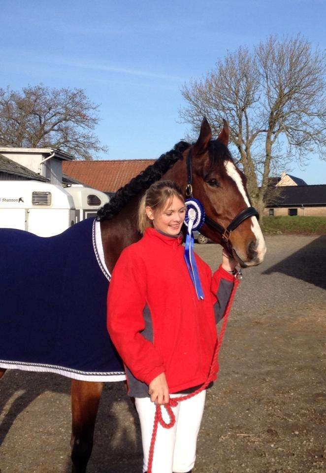 Oldenborg Narnio Roi - Først stævne med stjernen! Og så går han lige ind og vinder en flot 2. plads <3 billede 9