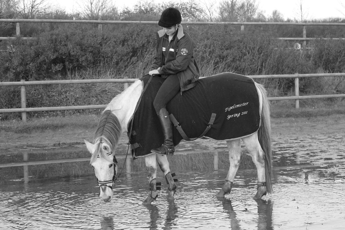 Anden særlig race Misty - Sidste søndag med min baby <3  billede 19