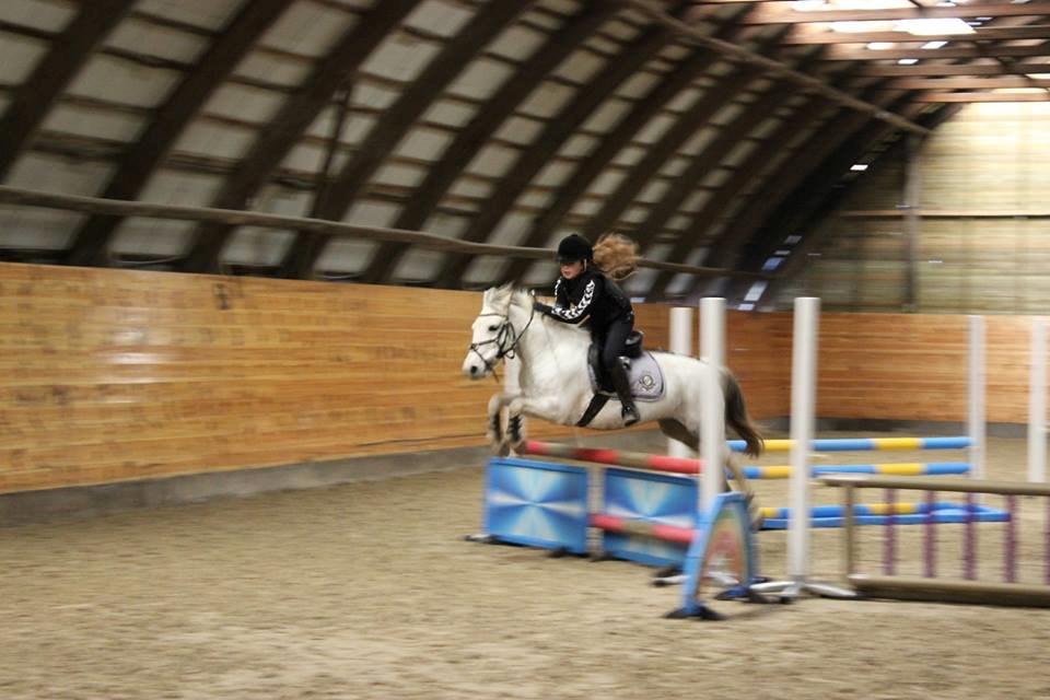 DSP Ryttergaardens Lille My<3 billede 2