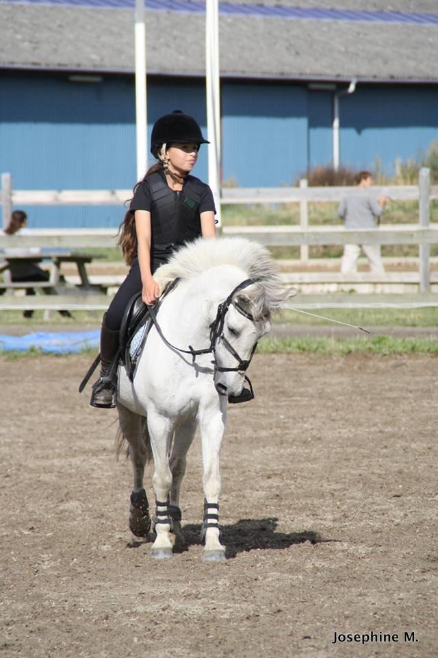 DSP Ryttergaardens Lille My<3 billede 3