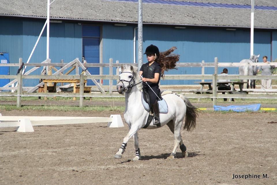 DSP Ryttergaardens Lille My<3 - fuld galop <3 billede 4
