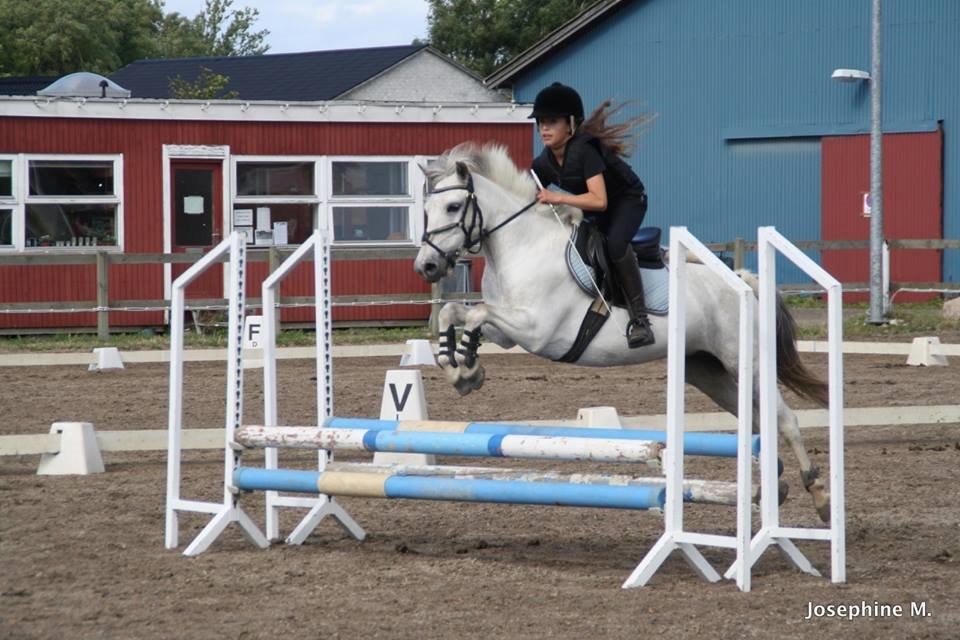 DSP Ryttergaardens Lille My<3 - Første gang jeg sprang på hende <3 billede 6