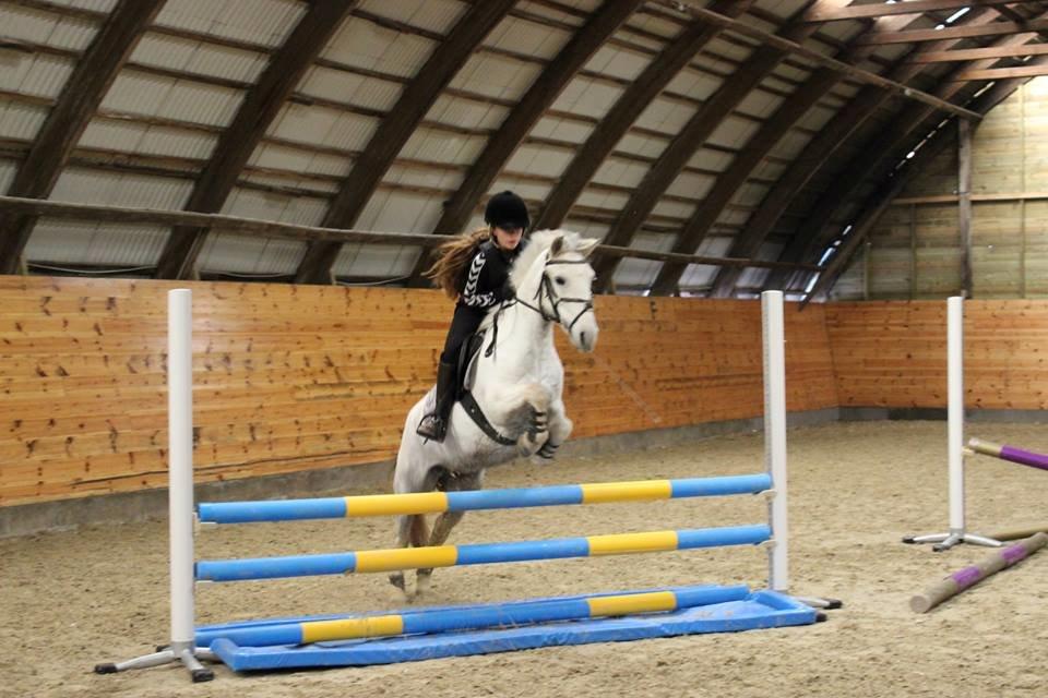 DSP Ryttergaardens Lille My<3 billede 7