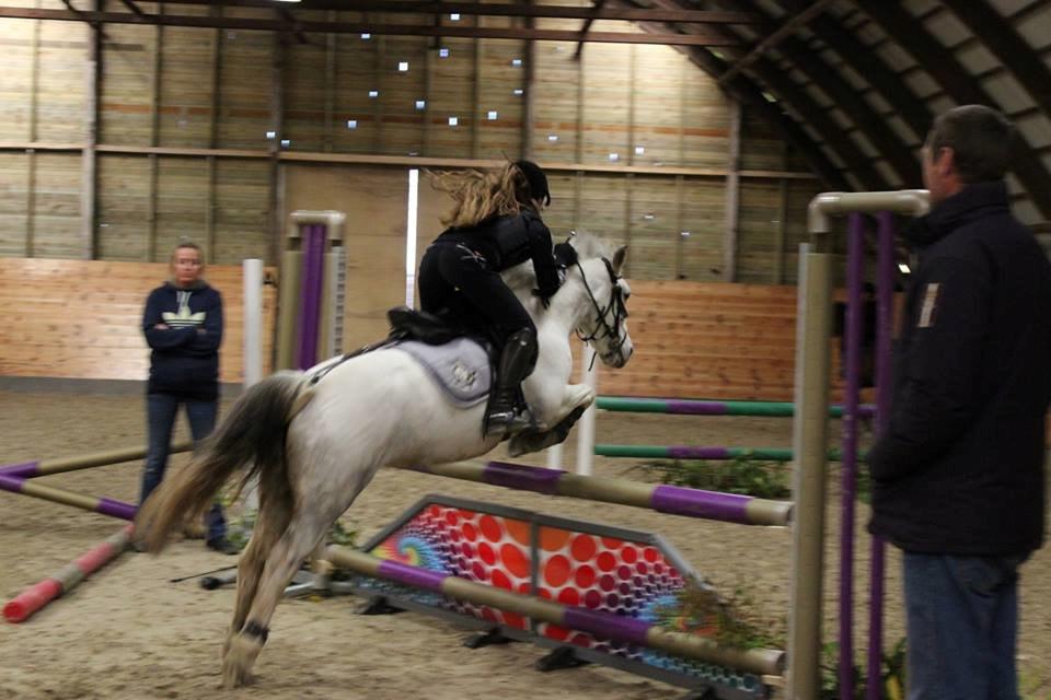 DSP Ryttergaardens Lille My<3 - dreams <3 billede 8