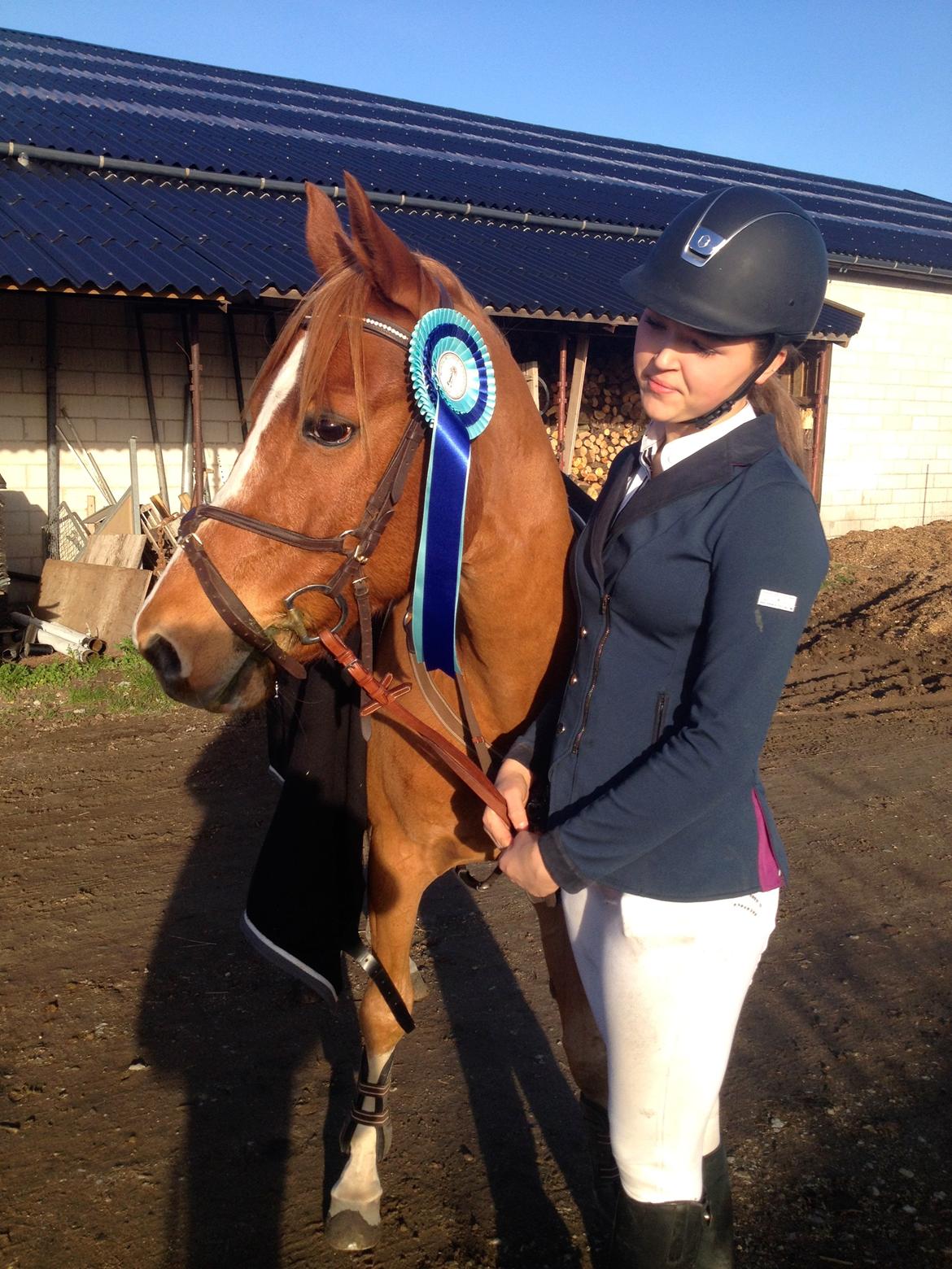 DSP Lintrupgaard Cavito - Stævne på NSR, hvor vi var fejlfrie i 75 cm  billede 11