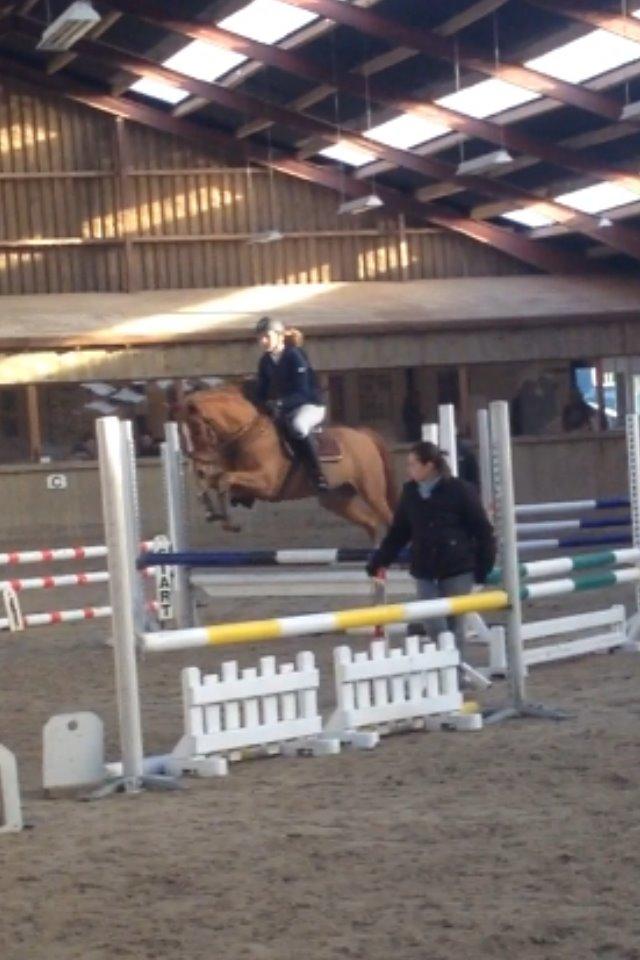 DSP Lintrupgaard Cavito - Stævne på NSR 17-11-13
 billede 7