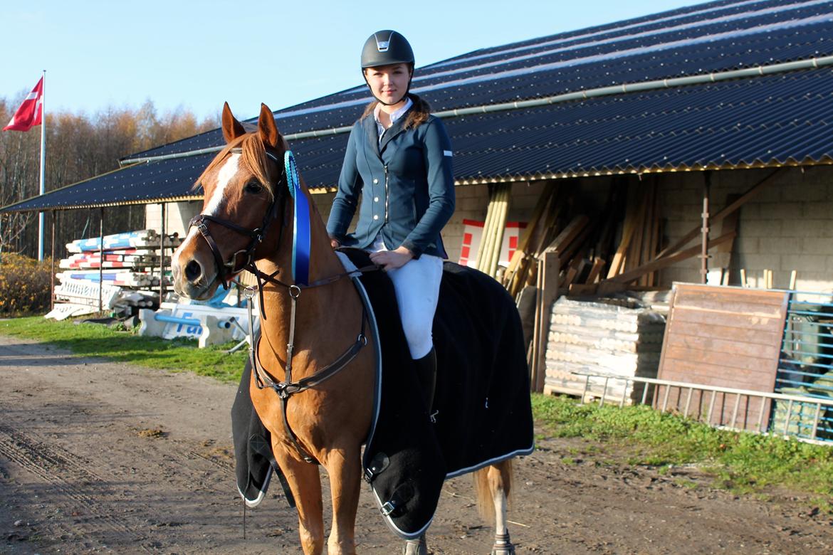 DSP Lintrupgaard Cavito - Stævne på NSR 17-11-13 billede 6