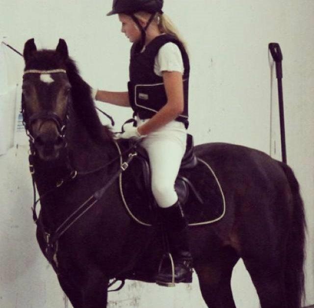 Welsh Partbred (Sec F) - Backersdal's Gaston - At noget er perfekt betyder ikke, at det er fejlfrit, men at du ikke ønsker det anderledes.<3 billede 3