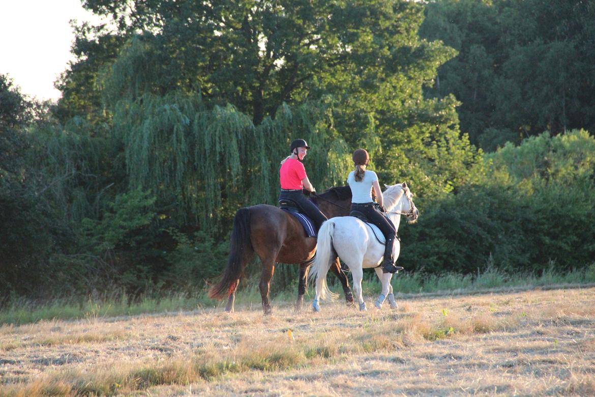 Anden særlig race Boss billede 4