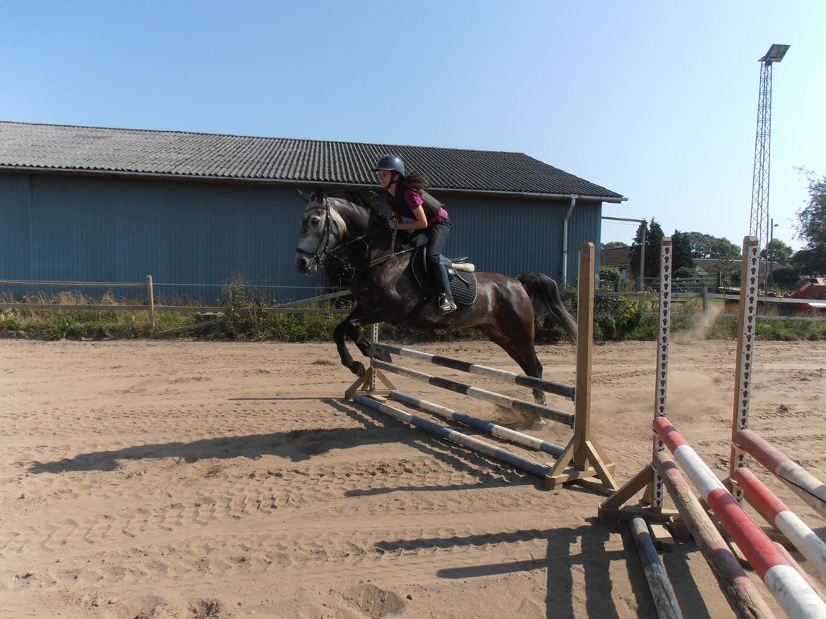 Anden særlig race soleo - første gang vi springer <3 billede 3
