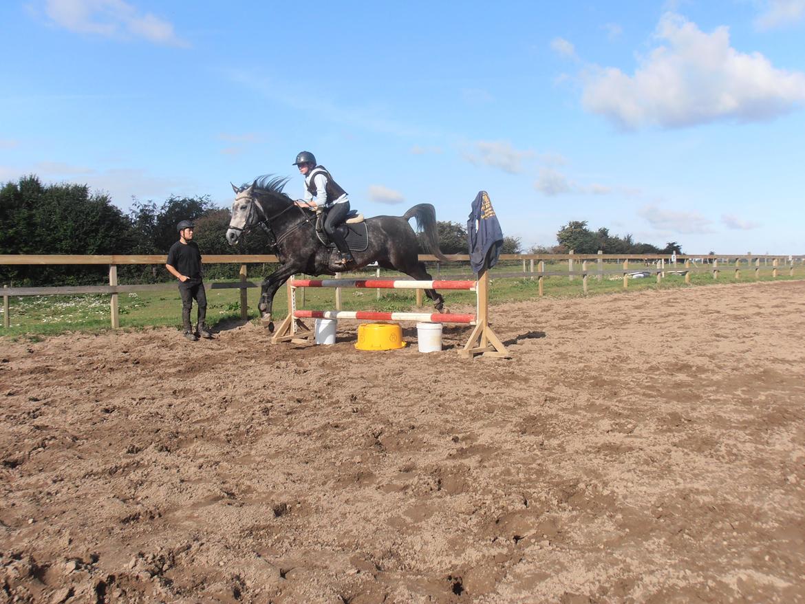 Anden særlig race soleo - anden gang vi springer <3 billede 4