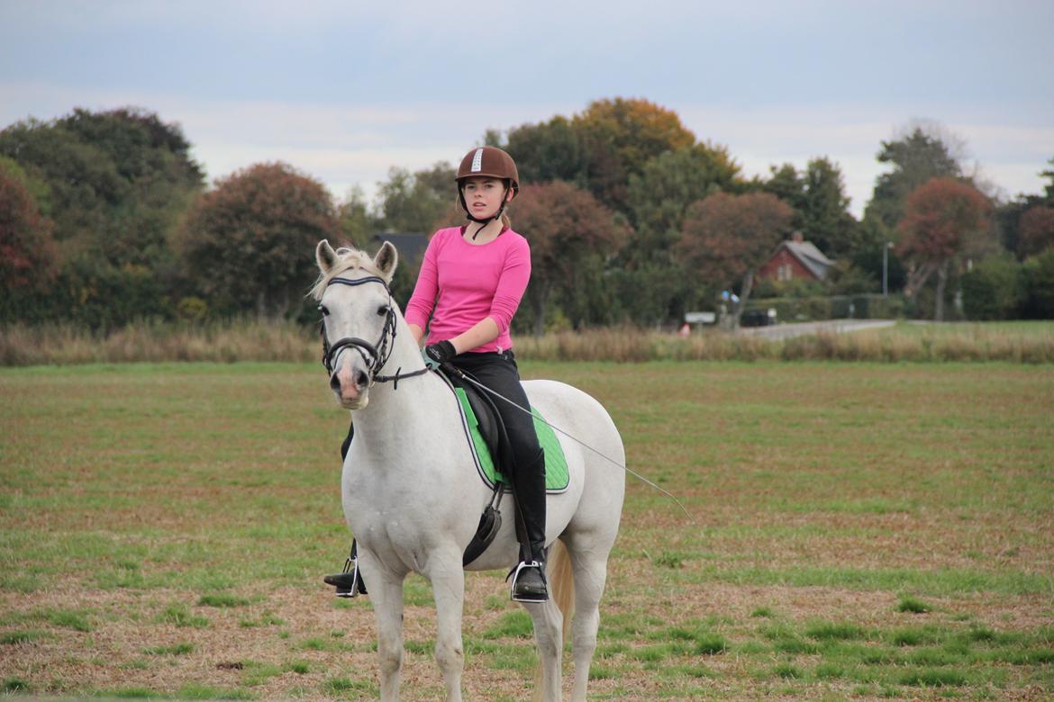 Anden særlig race Boss billede 7