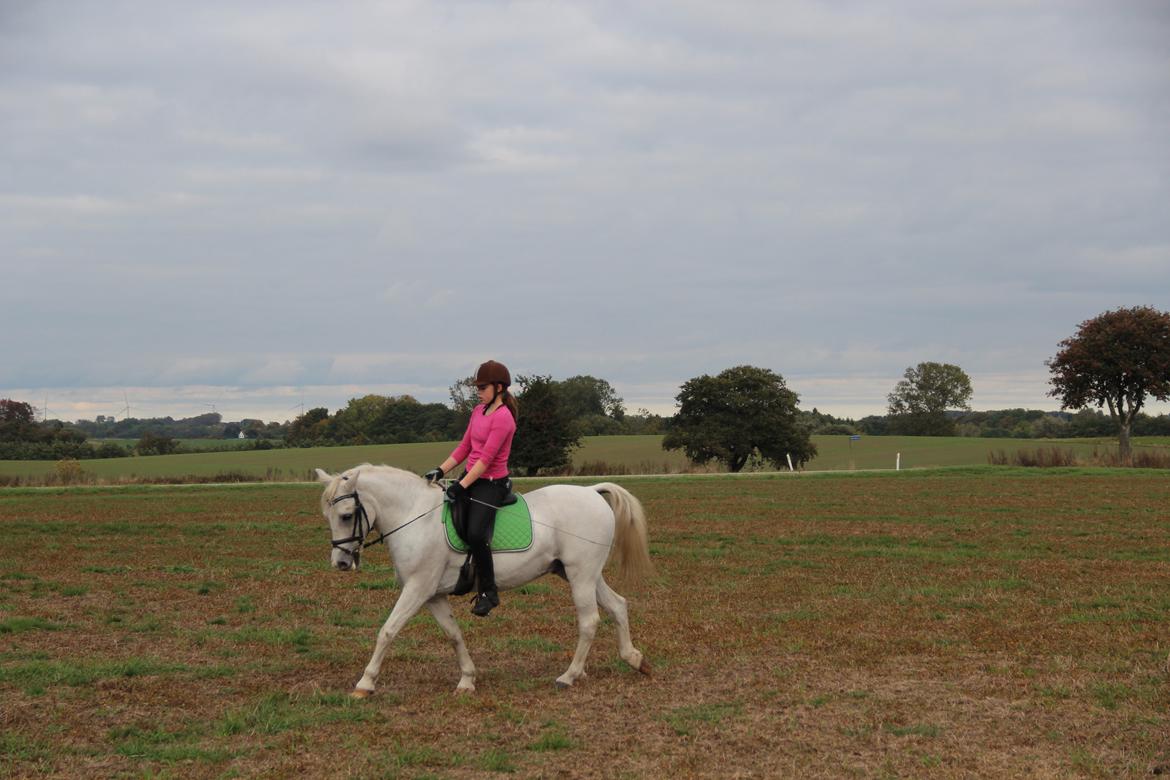 Anden særlig race Boss billede 8