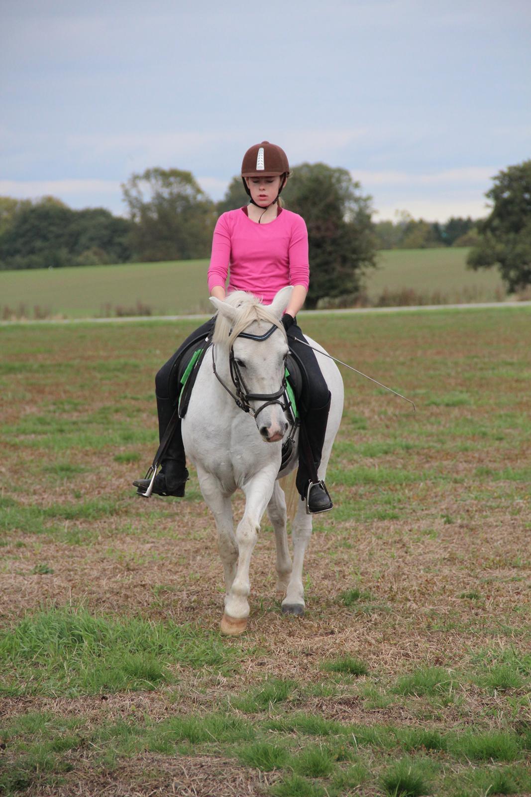 Anden særlig race Boss billede 9