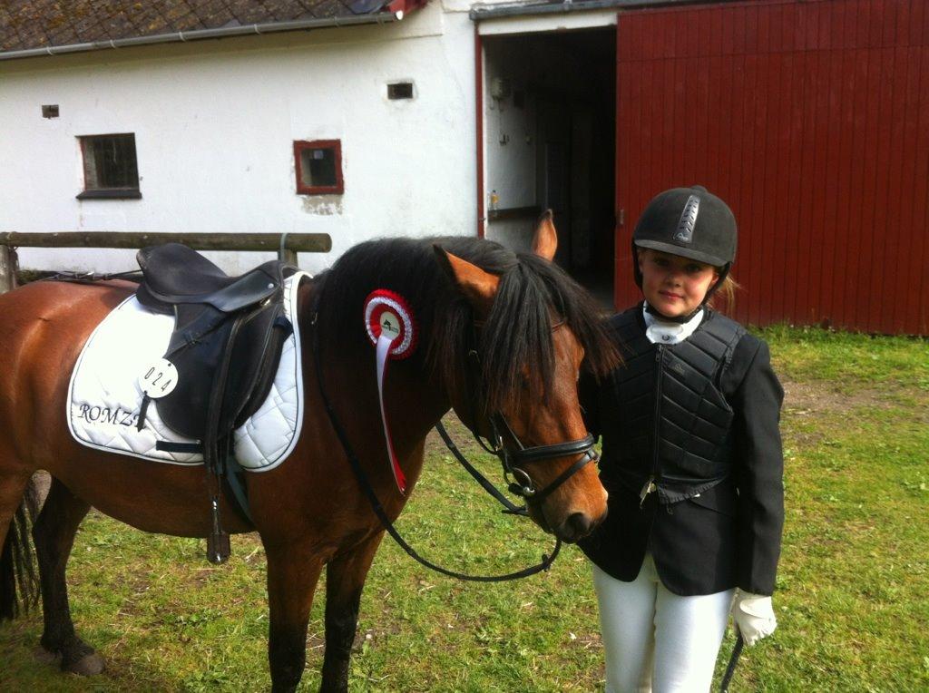 Anden særlig race Romze - vores første røde roset vundet i nyborg d. …. åh kan ikke huske det?! vundet for laaang tid siden hehe billede 20