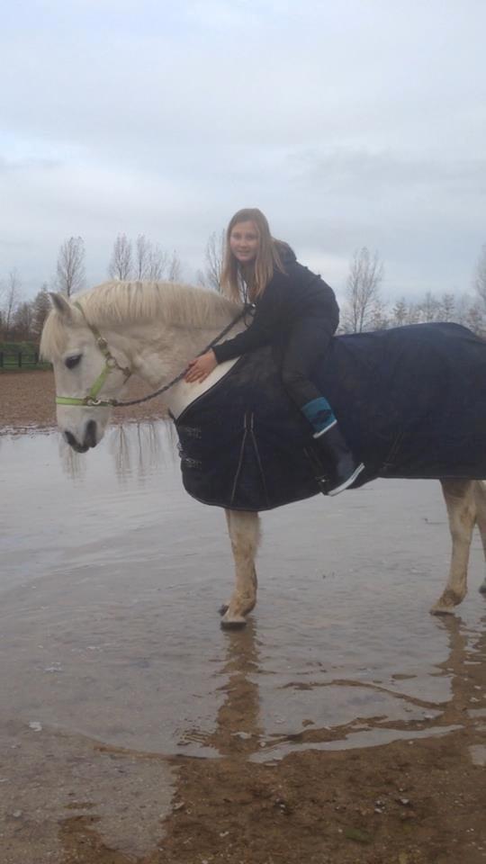 Anden særlig race Sofus billede 1