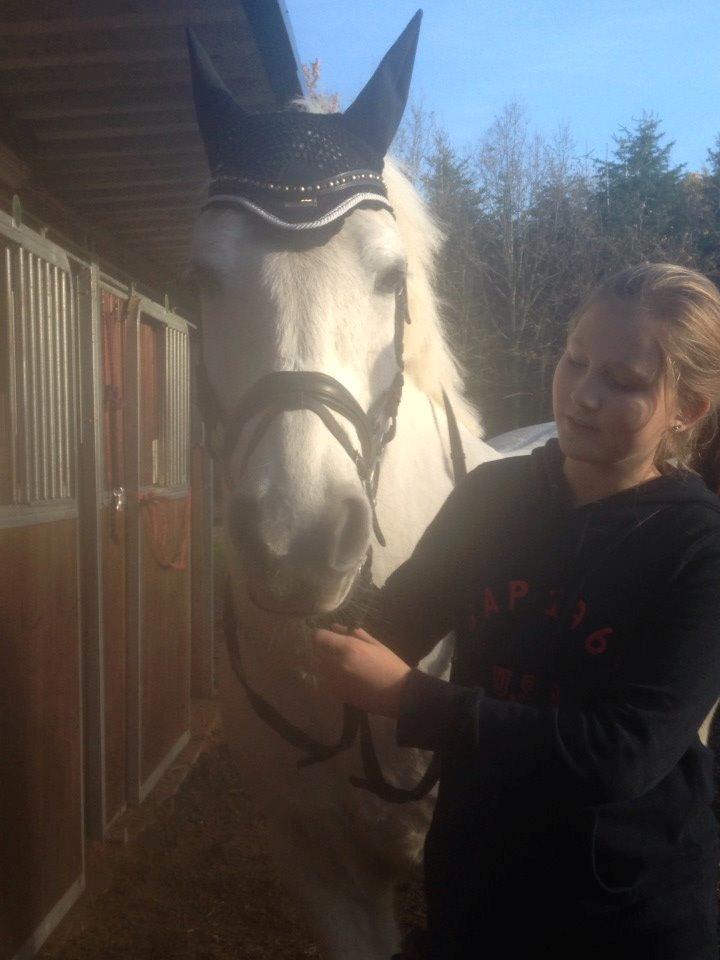 Anden særlig race Sofus billede 5