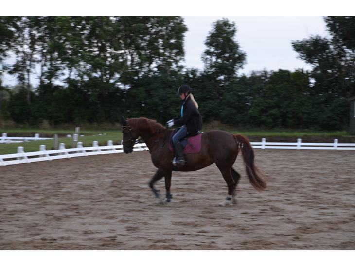 {{currentPhoto.altText}} billede {{currentPhoto.number}}