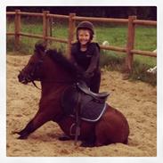 Anden særlig race Mosegaardens Laban.