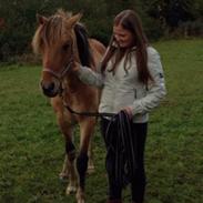 Anden særlig race Maximus