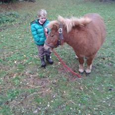 Anden særlig race sambo