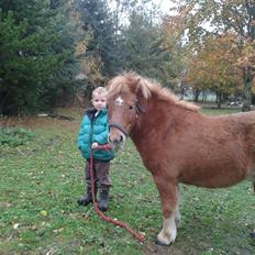 Anden særlig race sambo