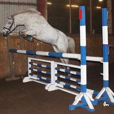 Anden særlig race Hoppity Hop (Verdens bedste pony)<3