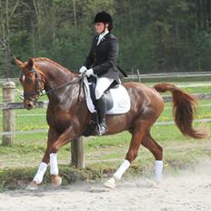 Anden særlig race Figaro <3