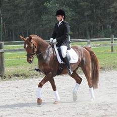 Anden særlig race Figaro <3