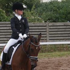 Anden særlig race Milou 