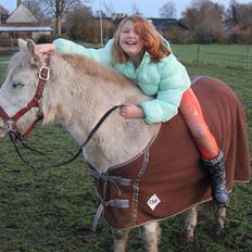 Welsh Mountain (sec A) Poulsen