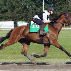 Traver C My Surprise