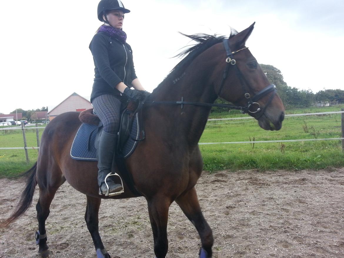 Traver Ærtig K billede 16