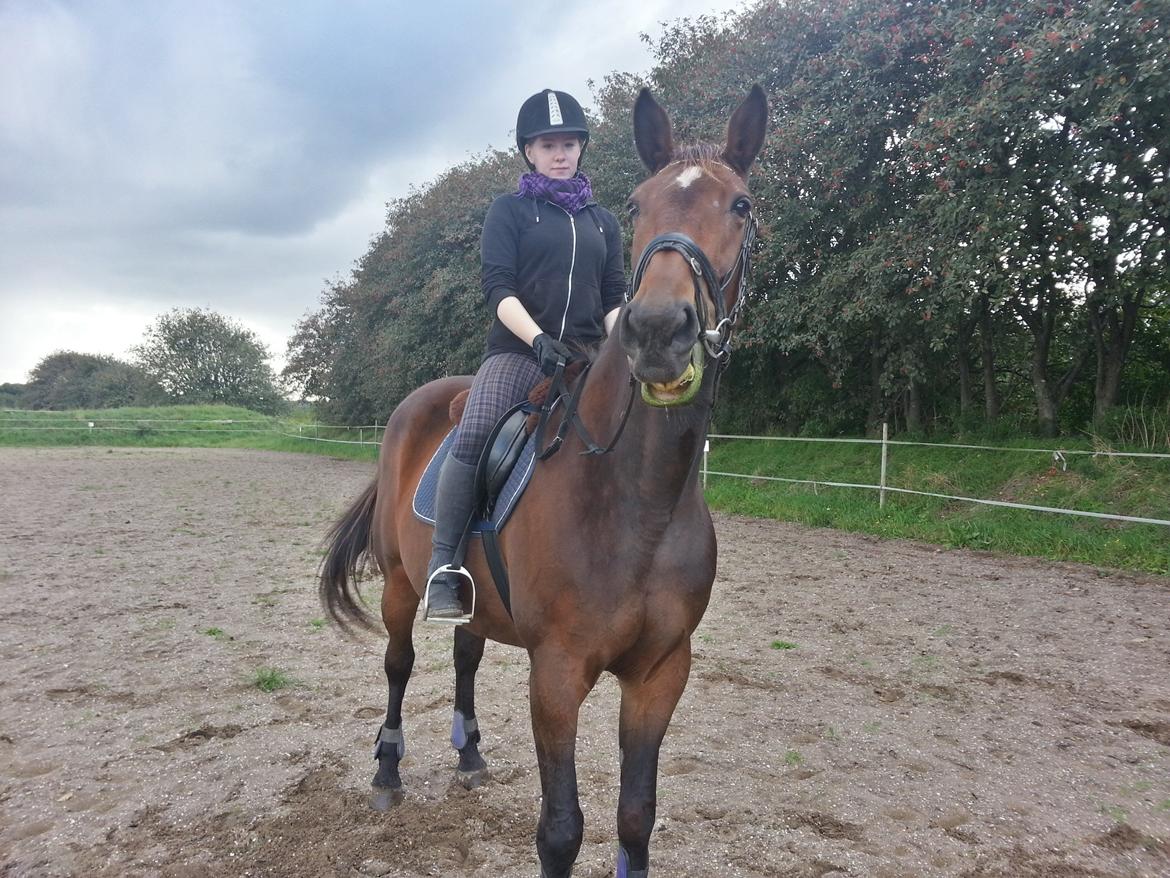 Traver Ærtig K billede 17