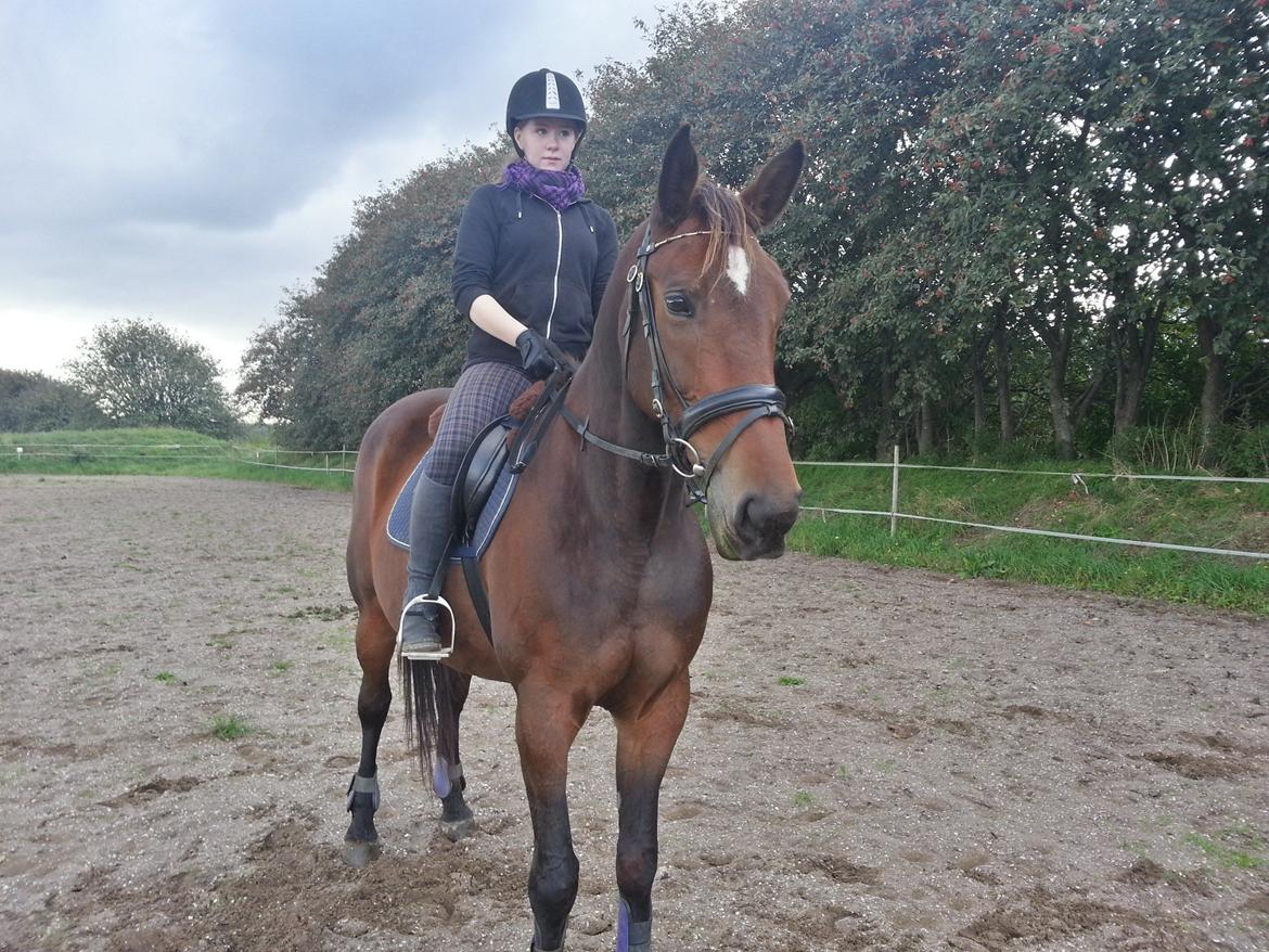 Traver Ærtig K billede 3