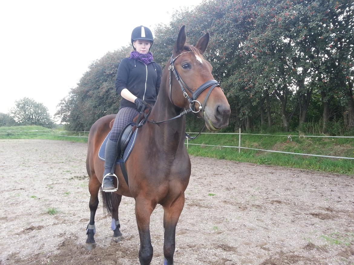 Traver Ærtig K billede 18