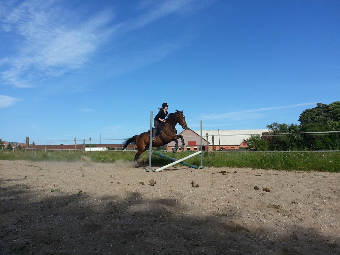 Traver Ærtig K billede 19