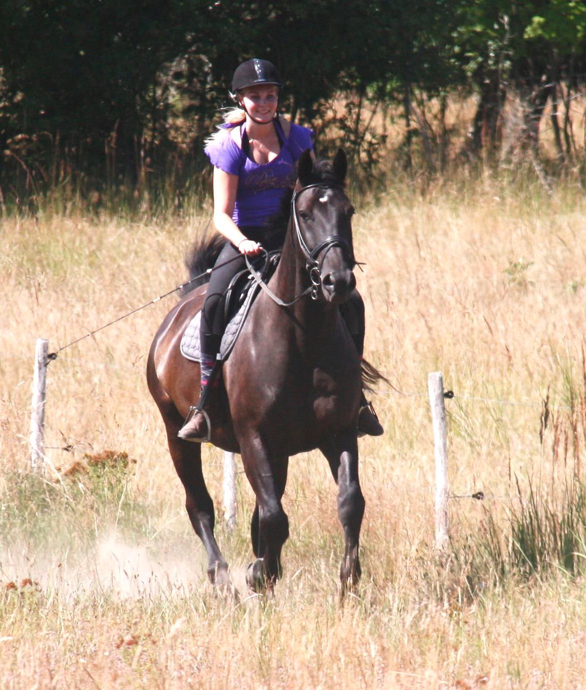 Anden særlig race Miro billede 20