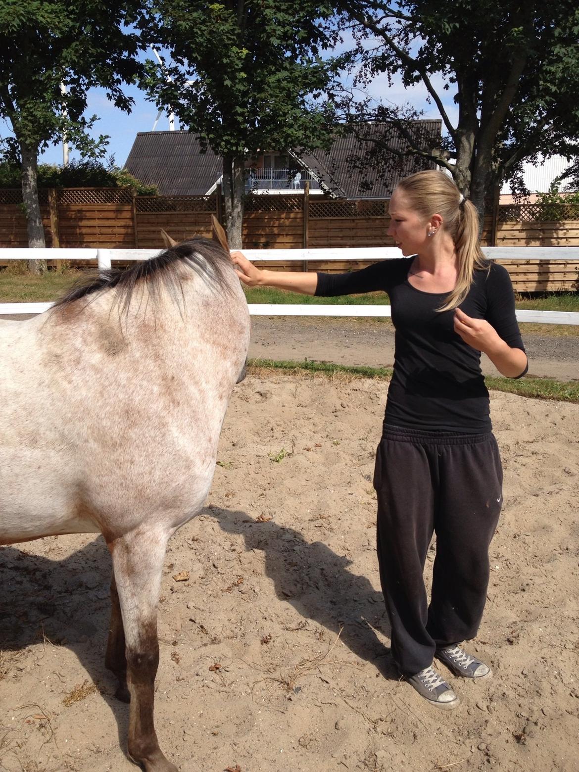 Anden særlig race Flying Snowflake aka. Fnuggi knabst./araber. billede 2
