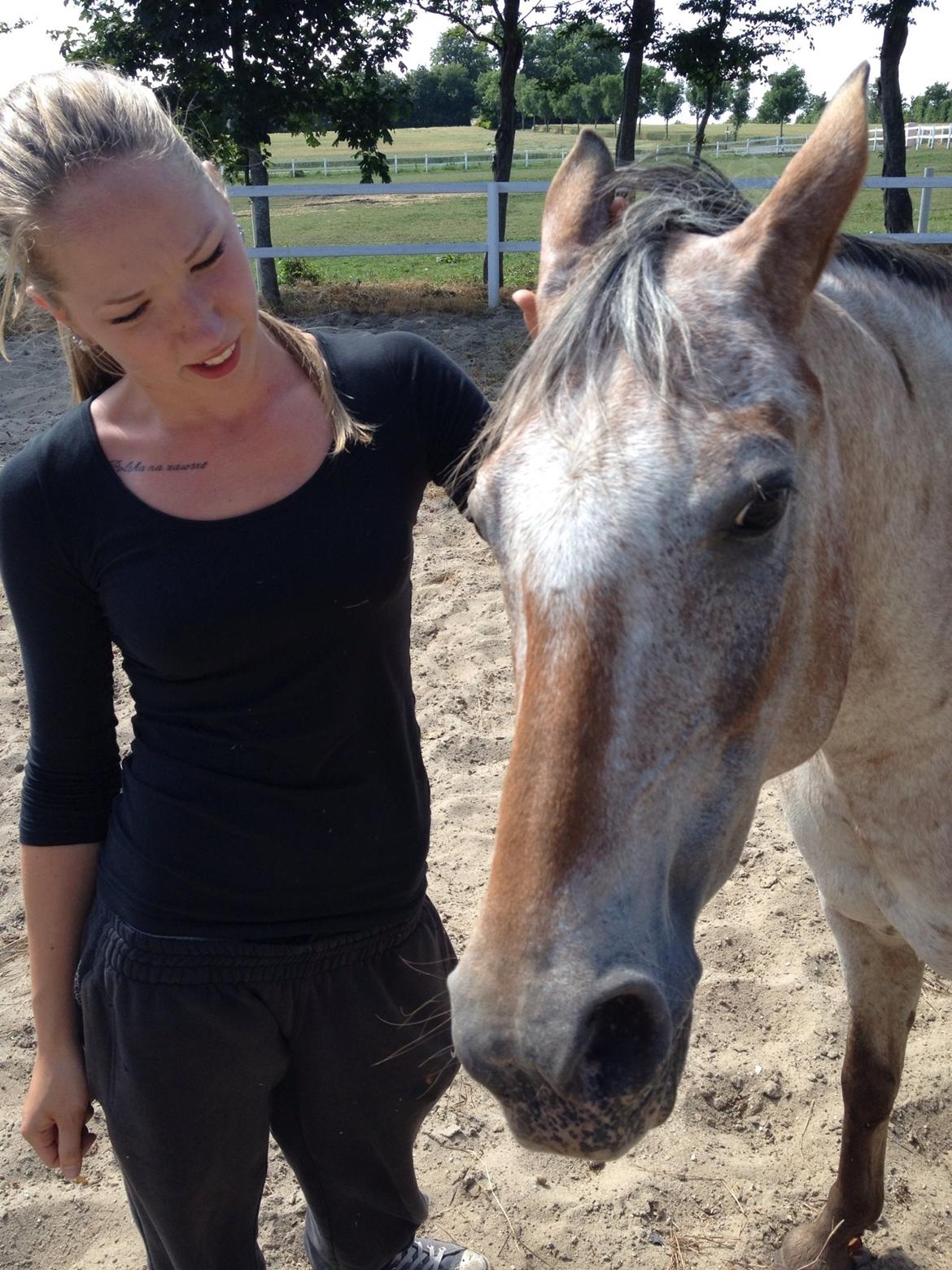 Anden særlig race Flying Snowflake aka. Fnuggi knabst./araber. billede 4