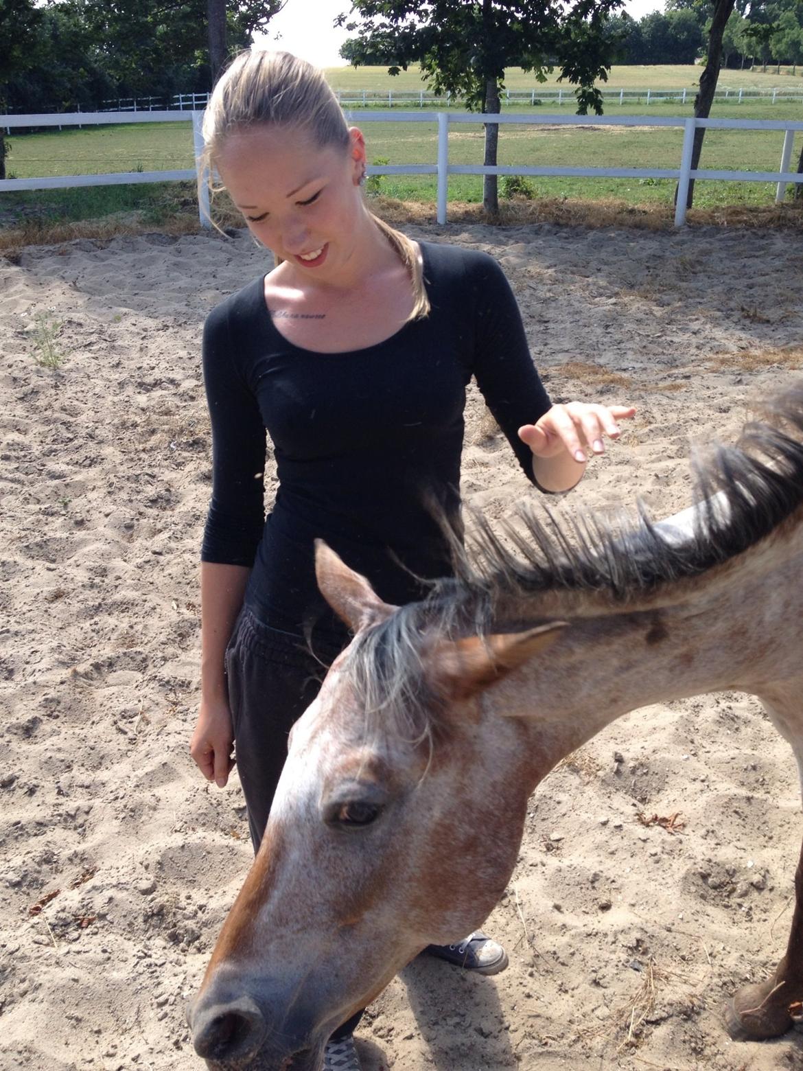 Anden særlig race Flying Snowflake aka. Fnuggi knabst./araber. billede 6