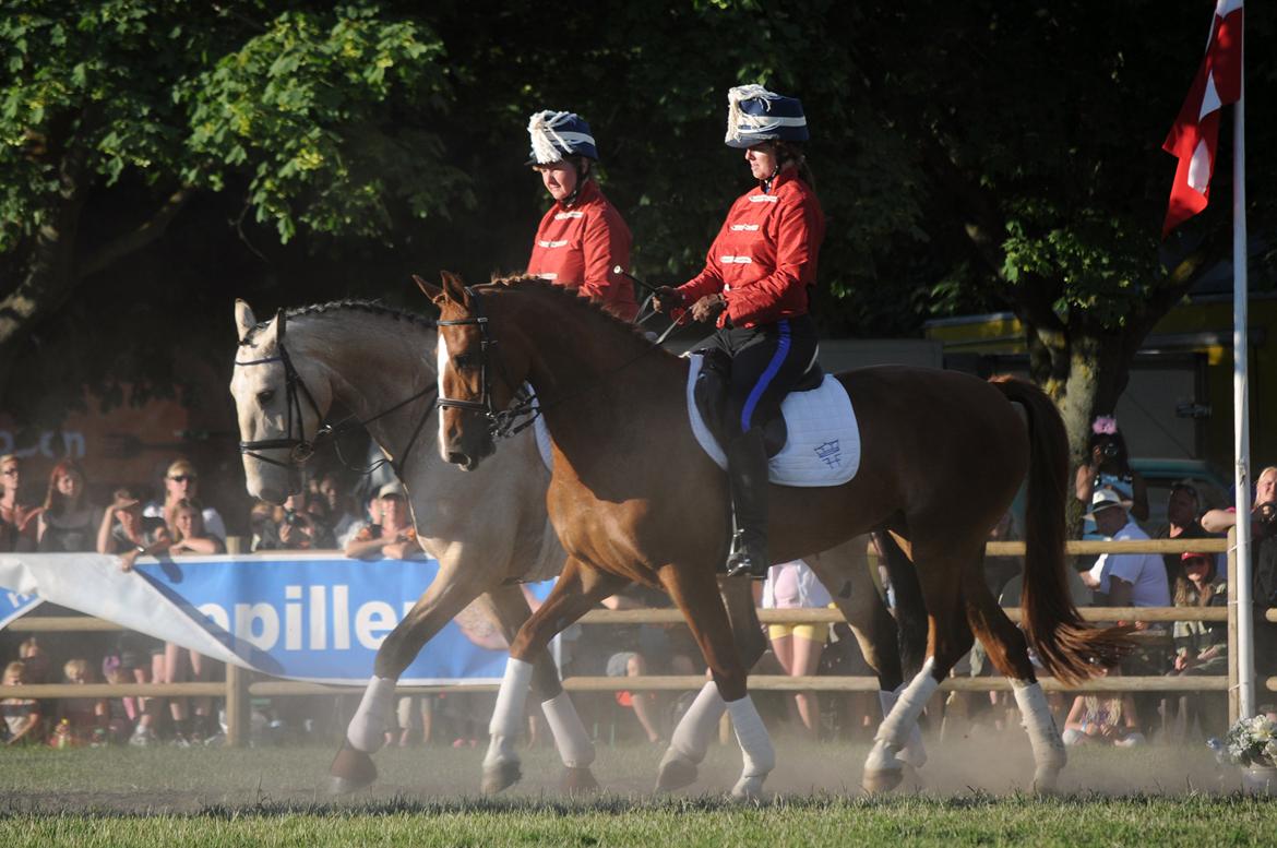 Frederiksborg Lady Safira Lykkebo - Show på Roskilde dyrskue 2011 billede 2