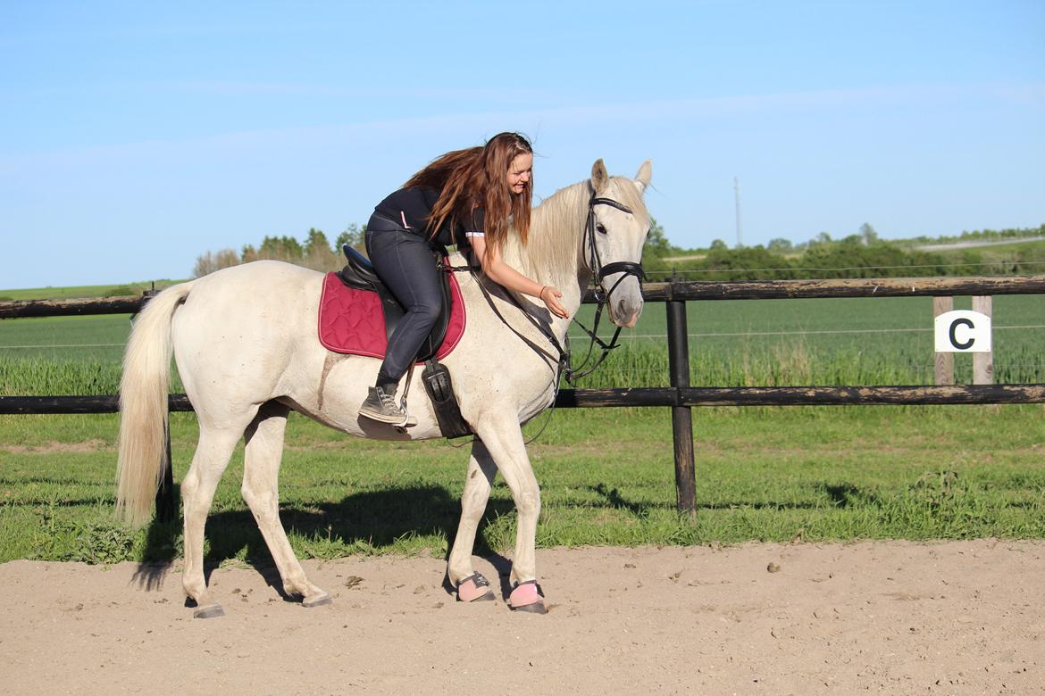 Anden særlig race - Miramis - Miramis og min fantastiske veninde <3 Foto: Mig. billede 14