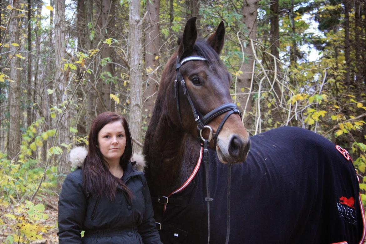 Oldenborg Paddington Skrold billede 1