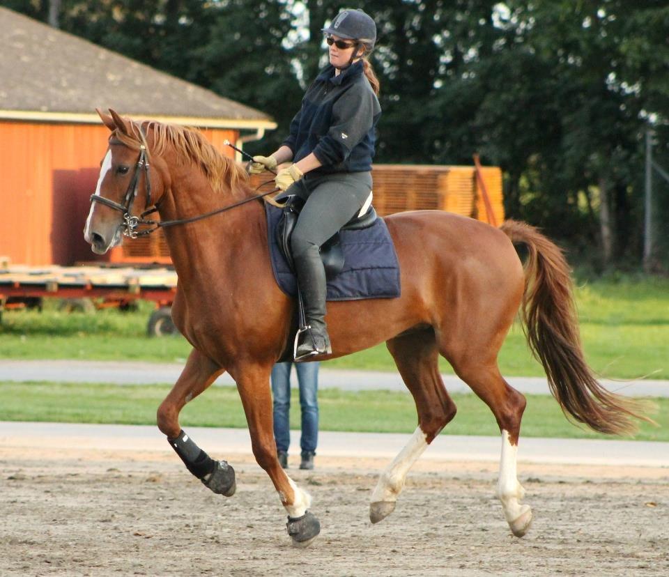 Frederiksborg Lady Safira Lykkebo - til showtræning i Roskilde billede 6